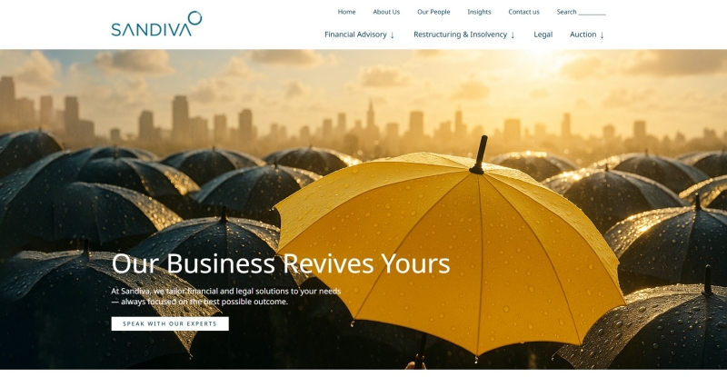 Mengapa Perusahaan Butuh Business Consultant Profesional?